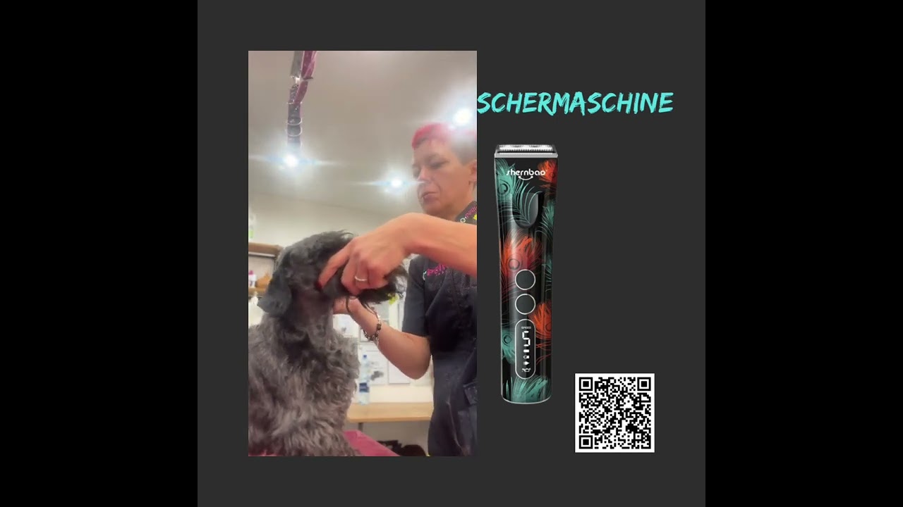 Schnauzer trimmen Teil 1