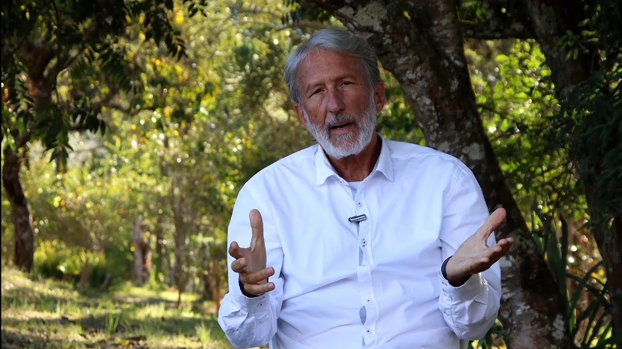 Qual a diferen&ccedil;a entre SANTO DAIME e AYAHUASCA?