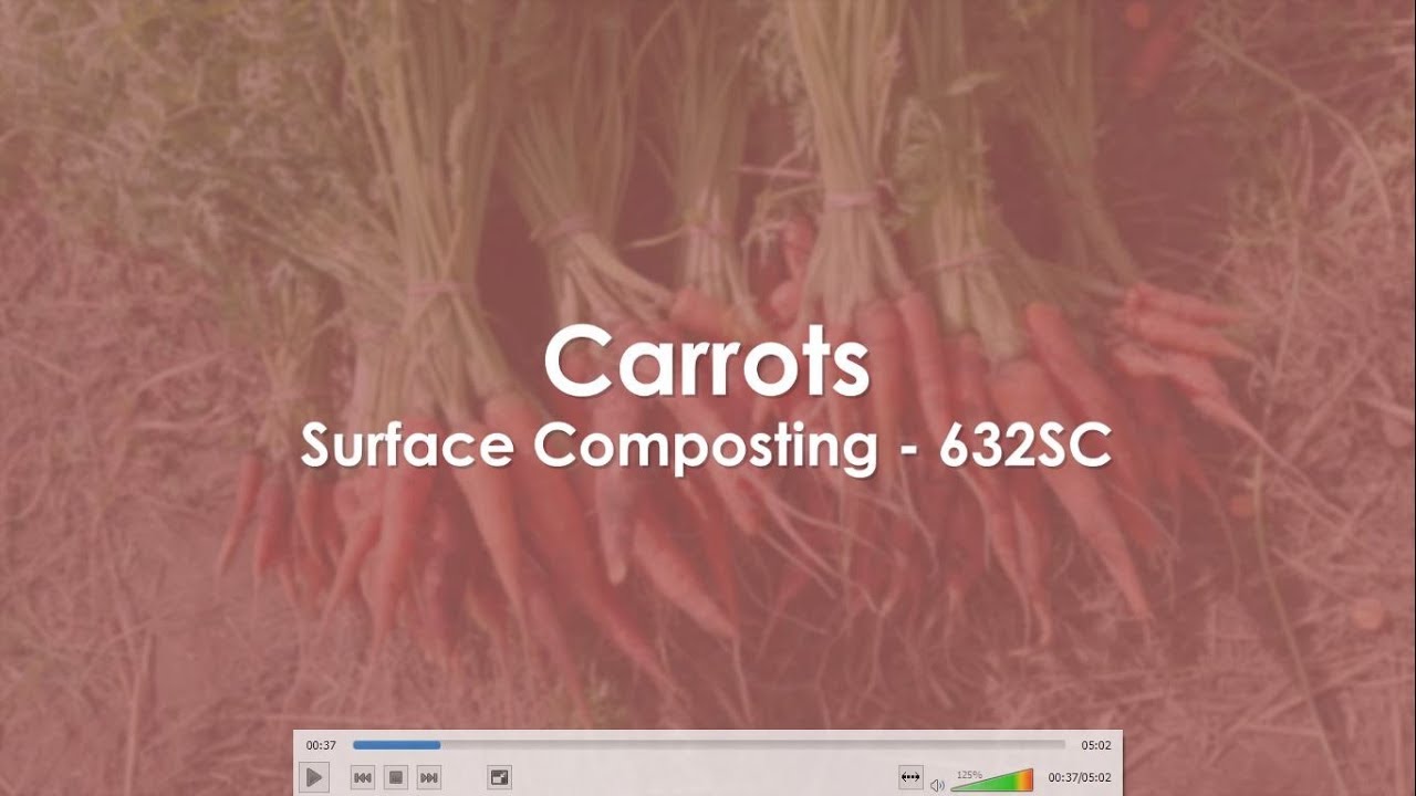 Carrots - Surface Compost 632SC