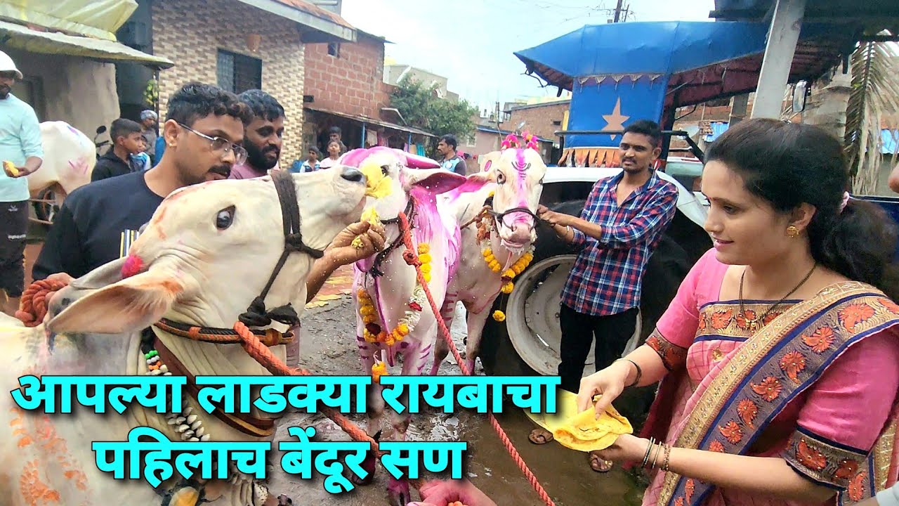 आपल्या लाडक्या रायबाचा बेंदूर सण कसा साजरा झाला ? रायबा कसा नटलाय 😍 | Bilgada Shrayat |