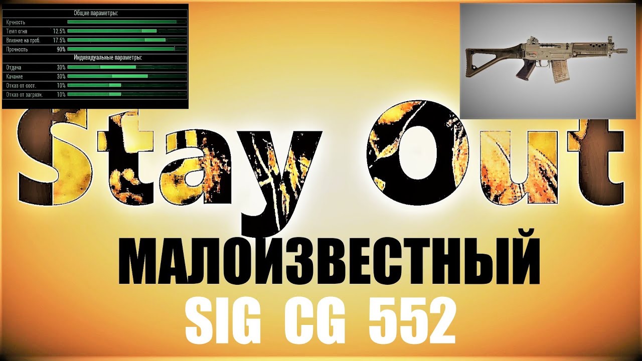 ⭐Stay Out⭐Сталкер-Онлай 👍Малоизвестный SIG CG 552