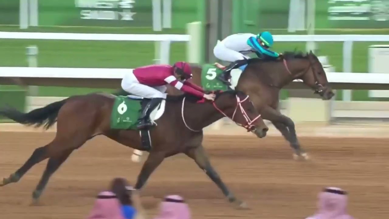 Forever Young Wins The Saudi Derby, Remains Unbeaten - Unofficial Derby Prep -  2/24/24