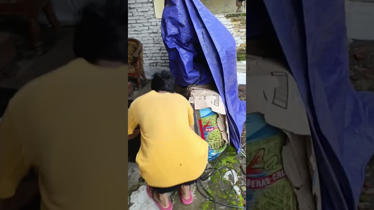 Salsabila production - mecoba//meriset yang dulu2 menjadi terbaik// pokok gleer