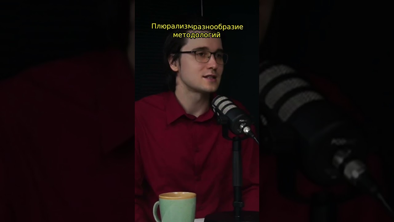 Плюрализм и разнообразие методологий