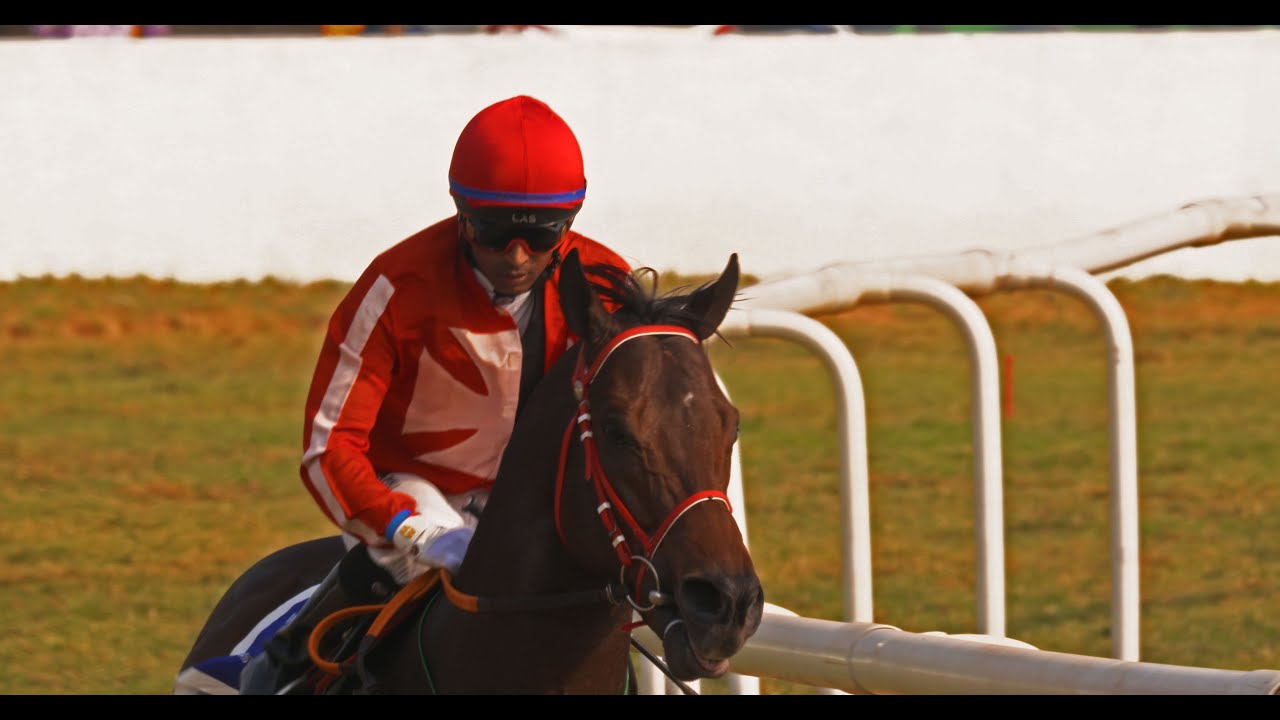 Sprinters Cup 2020 Winner | CORFE CASTLE