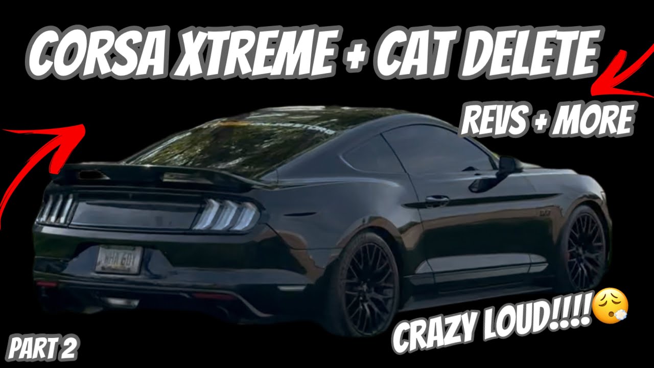 Corsa Xtreme + Cat Delete