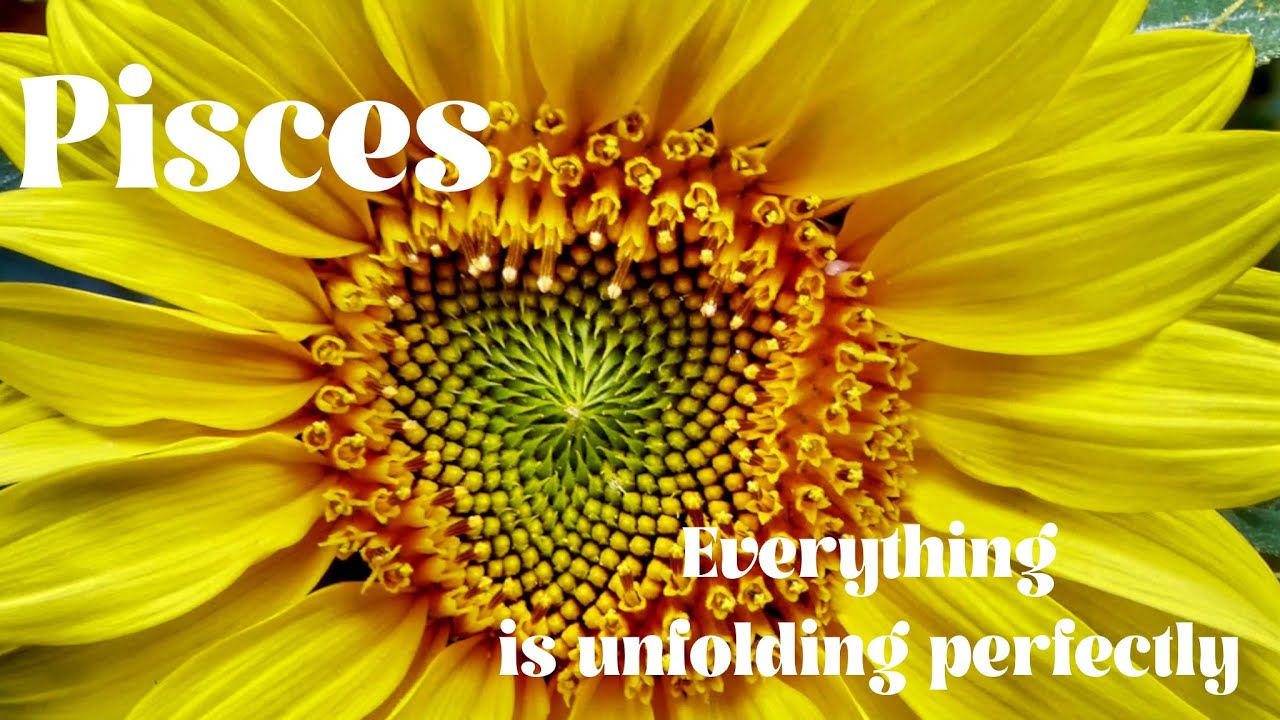 Pisces 💖💖messages coming in… it will be your descision…. What is your true wish fulfillment 💖💖
