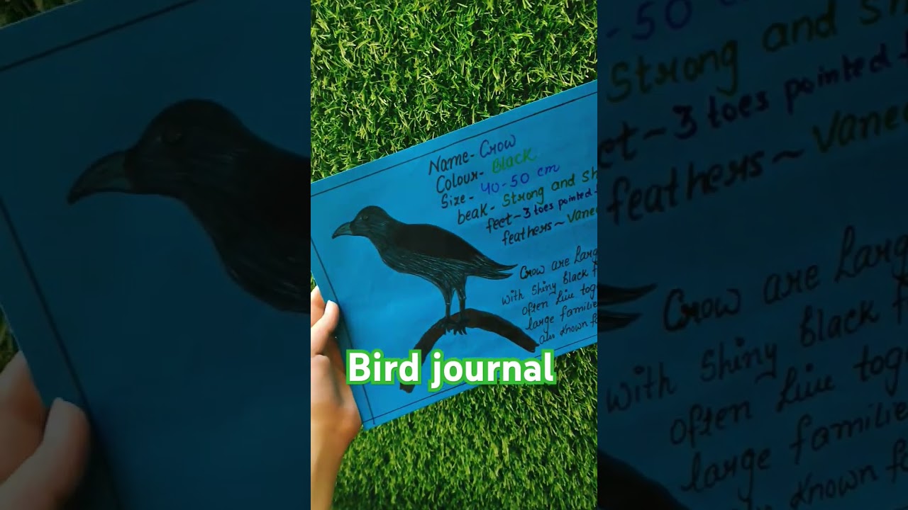 bird journal
