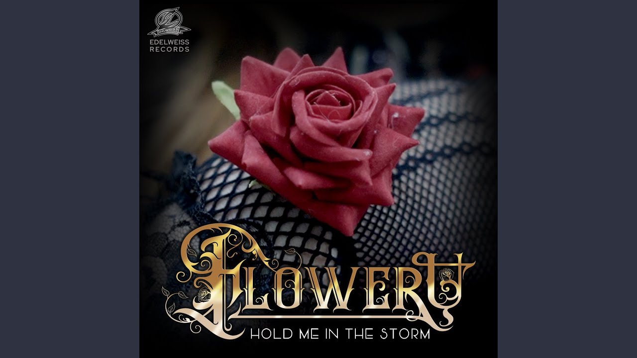 Hold Me In The Storm