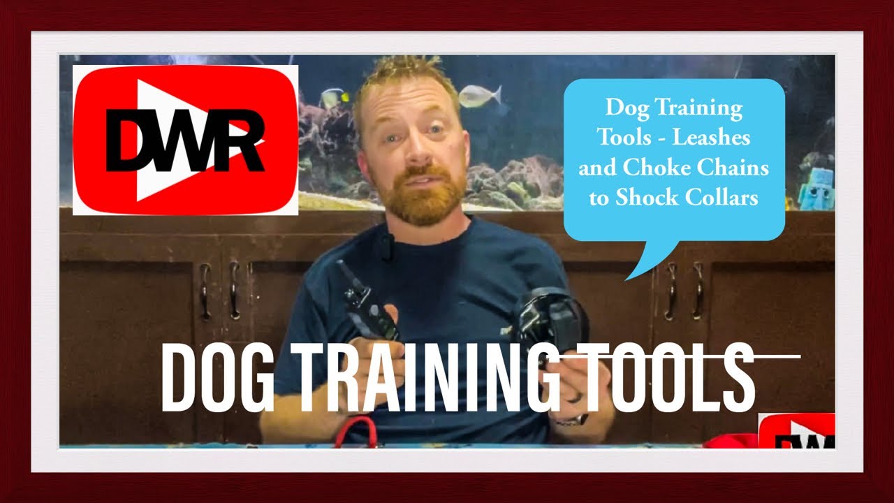 S2-E1: Dog Training Tools-What you NEED TO KNOW before you buy!