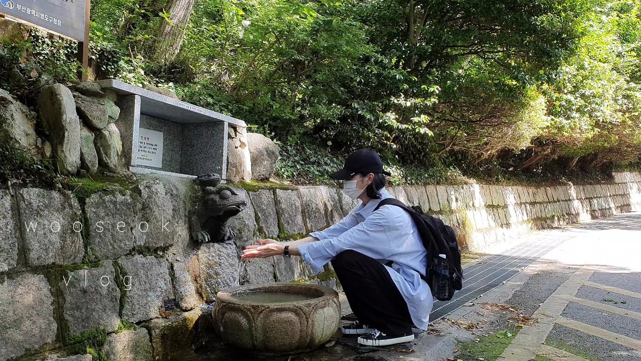 [Solitary Trip] VLOG) A family of cats I met while walking / eating seafood in front of the sea