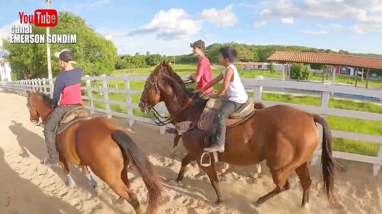 VAQUEIRO LEVY E AMIGOS E COMÉDIA NA PISTA DO PARQUE GUARANI ANTES DO TREINO DE VAQUEJADA COMEÇAR