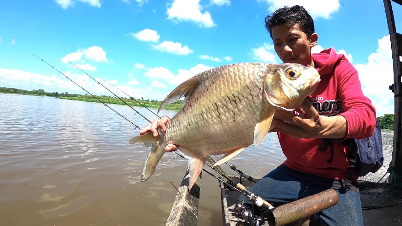 MANCING DI SARANG IKAN TAWES RAKSASA || UMPAN JITU TAWES SUNGAI