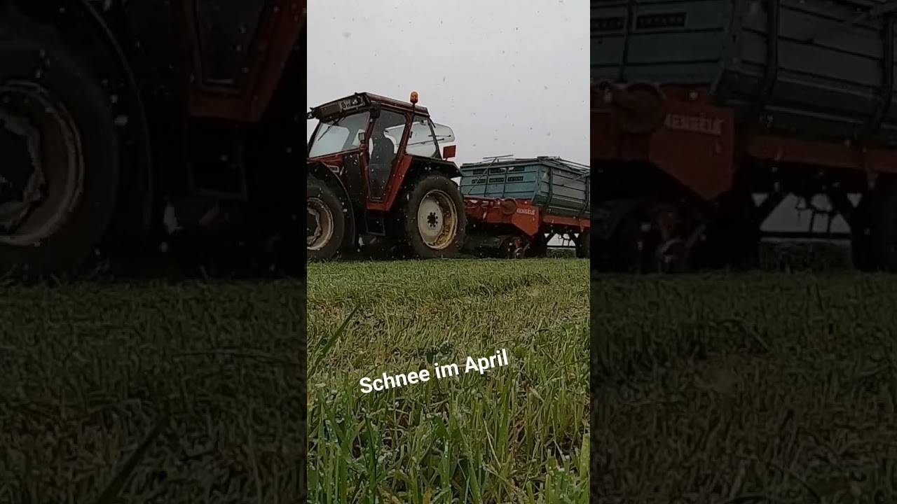 Schnee beim Gr&uuml;nfutter holen  #landwirtschaft #schnee #farming #agriculture