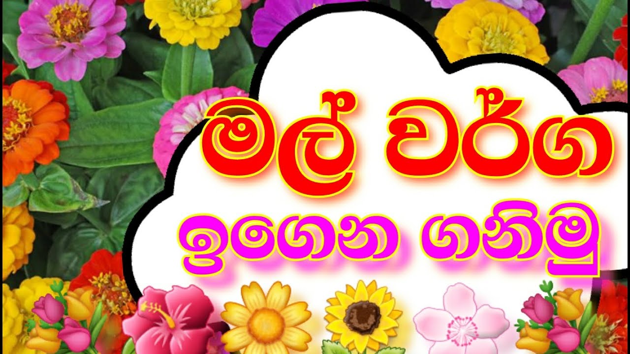 මල් වර්ග හදුනාගනිමු( mal warga) primary අපි