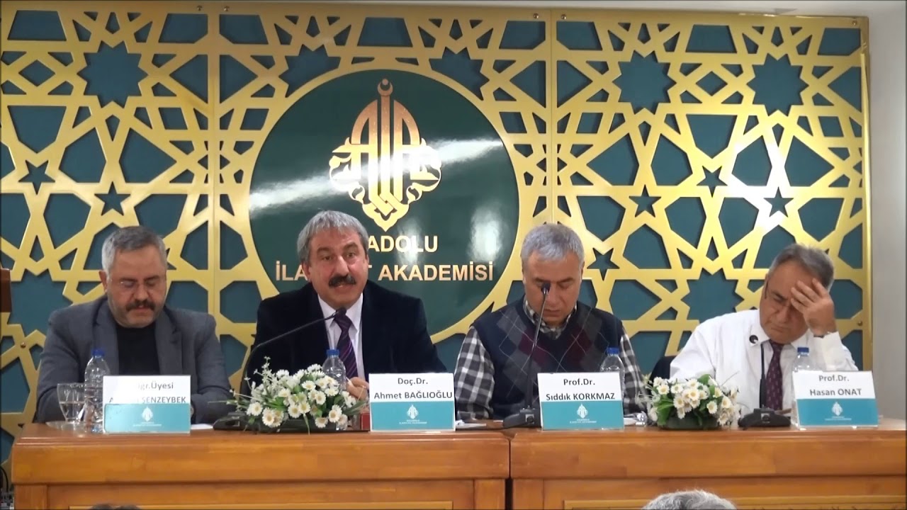 PANEL (II) - Doç. Dr. Ahmet BAĞLIOĞLU 