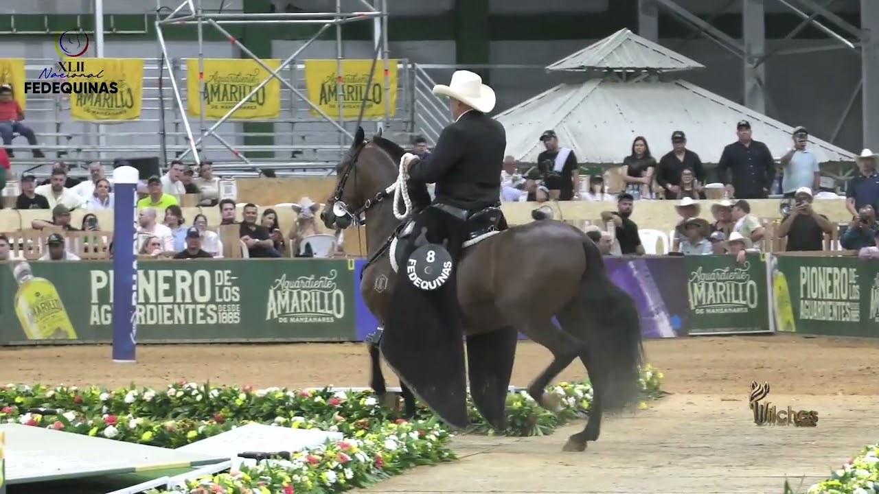 ATHOS DE VILLA MARTA, GRAN CAMPEÓN TROTE Y GALOPE  EXPO NACIONAL EQUINA BUCARAMANGA 2026