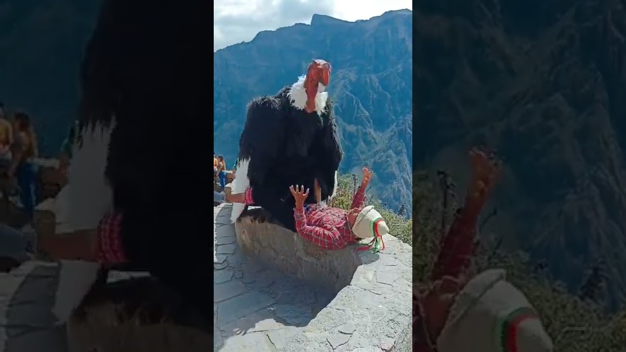 EL C&Oacute;NDOR ANDINO