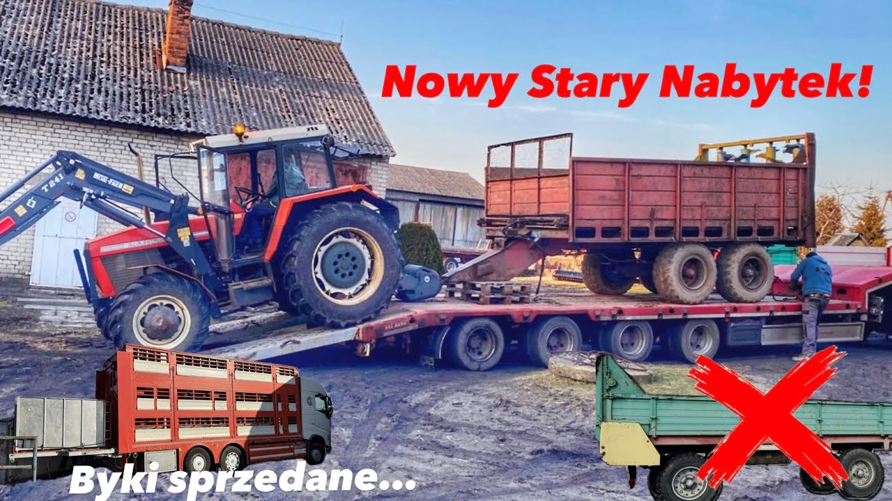 🔥Jeden Sprzedany! Drugi kupiony🔥Nowy nabytek,sprzedaż bydła, Romeo klepie nita🔨