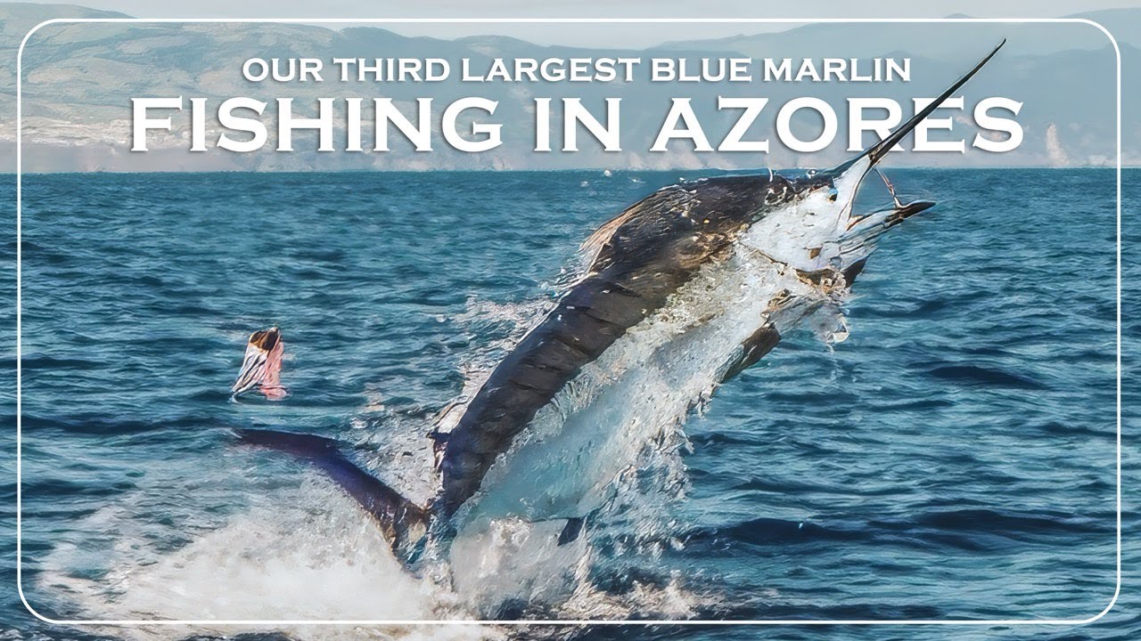 Big Game Fishing Azores — 3rd Biggest Fish of the World Tour!
