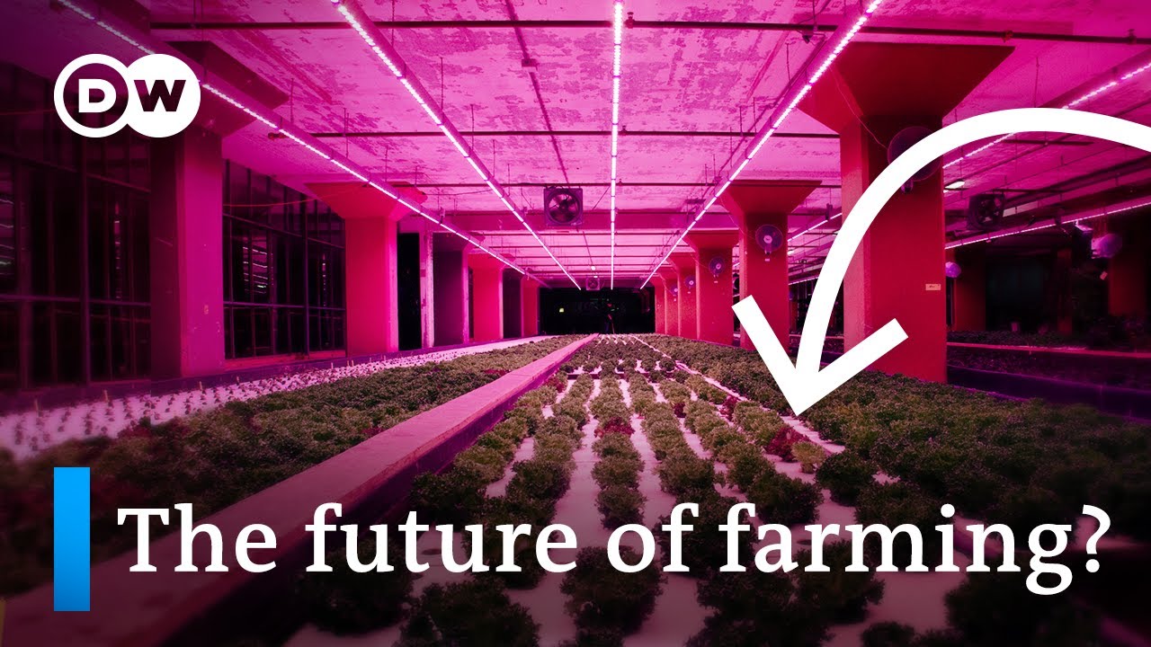 Aquaponics: Why we should be putting fish in our farms