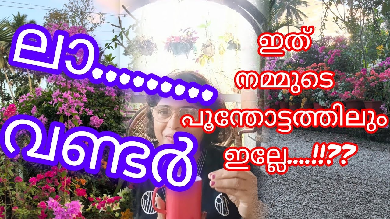 അങ്ങനെ ഇതുവരെ ചിന്തിക്കാത്തഒരു കാര്യം.... #മലയാളം#gardening #homegarden 