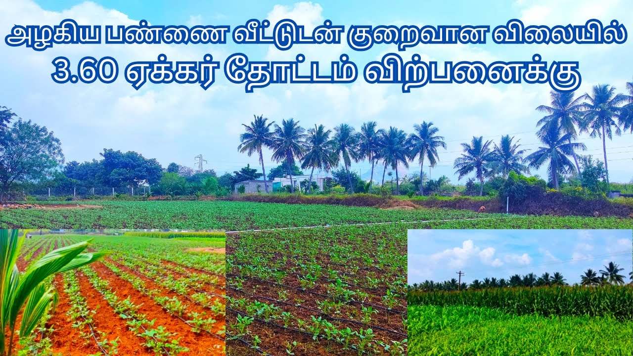 அழகிய பண்ணை வீட்டுடன் 3.60 ஏக்கர் தோட்டம் விற்பனைக்கு  குறைவான விலையில்