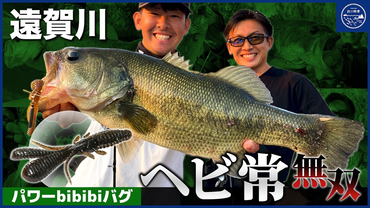 【驚愕の釣果】パワーbibibiバグ × ヘビ常で遠賀川を無双‼【釣り時季】