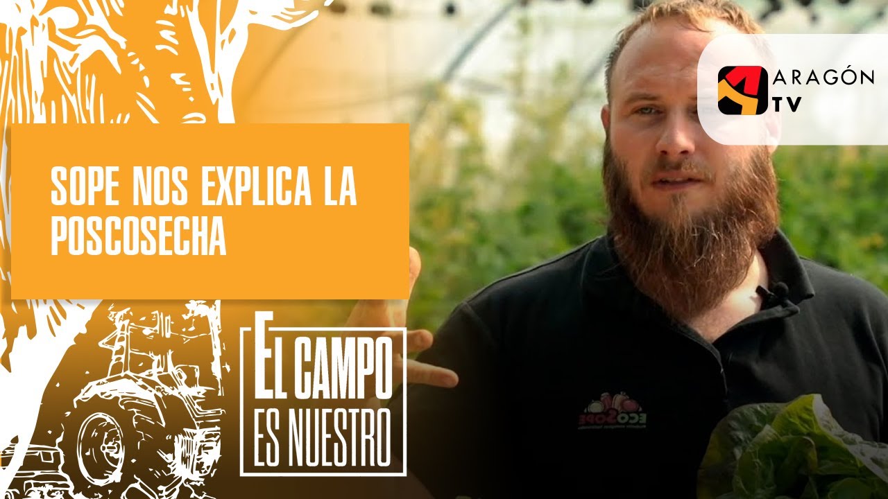¿Qué es la poscosecha?