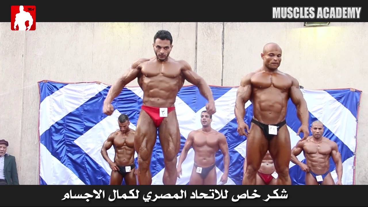وزن 80 كجم بطولة القاهره الدرجه الاولى 2016