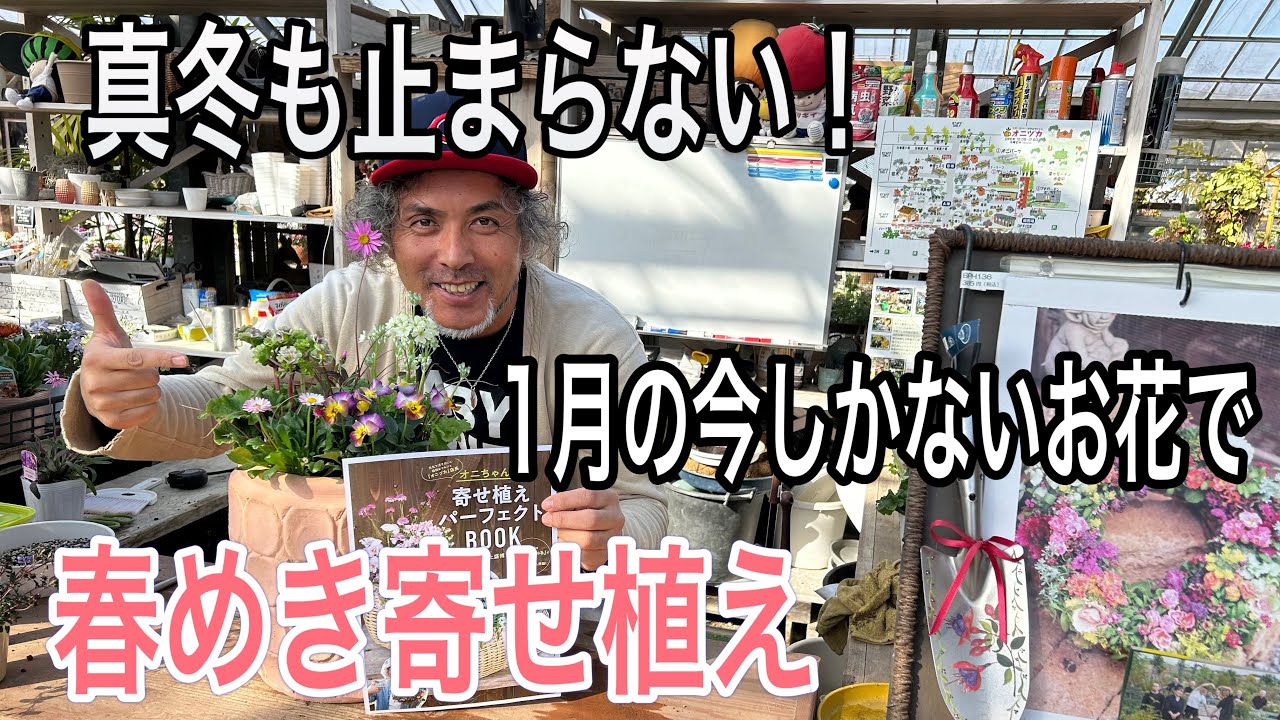 【寄せ植え】この時期だけの寄せ植え☆公開