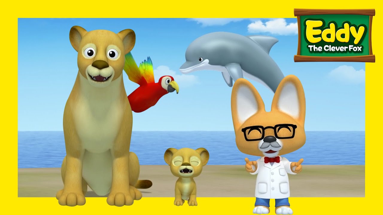 Recopilación Completa #1~13 | Eddy el Zorro Astuto 2 | Animación infanti | Pororo español