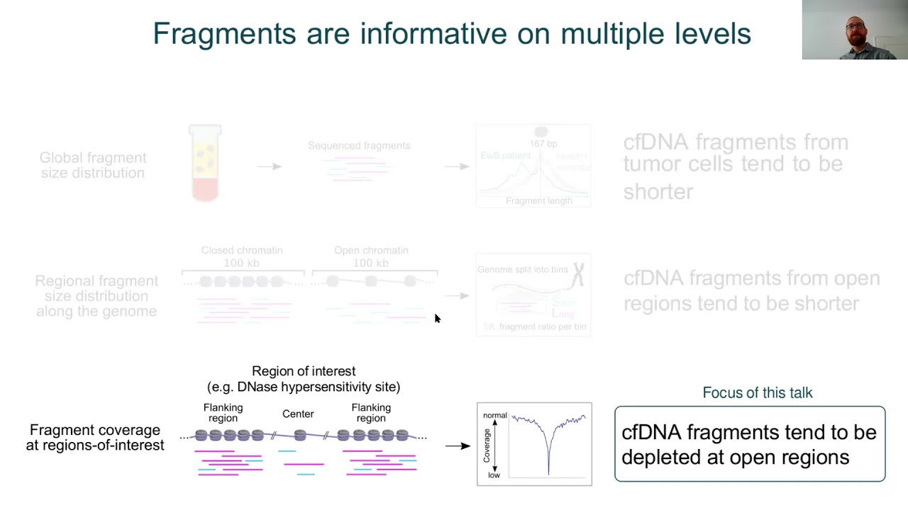 Multimodal analysis of cell-free DNA whole... - Peter Peneder - TransMed - Talk - ISMB/ECCB 2021