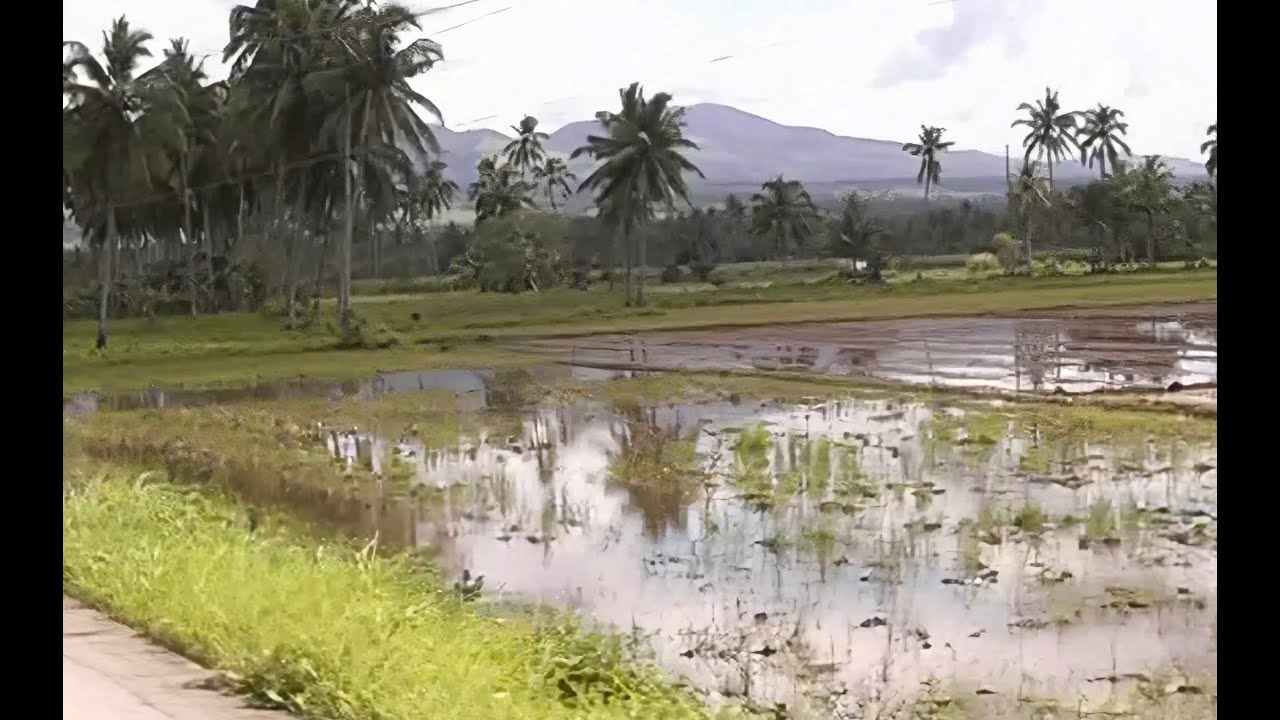 Philippines (Leyte): Trip from Ormoc to San Jose - 23 December 2006 (4K enhanced)