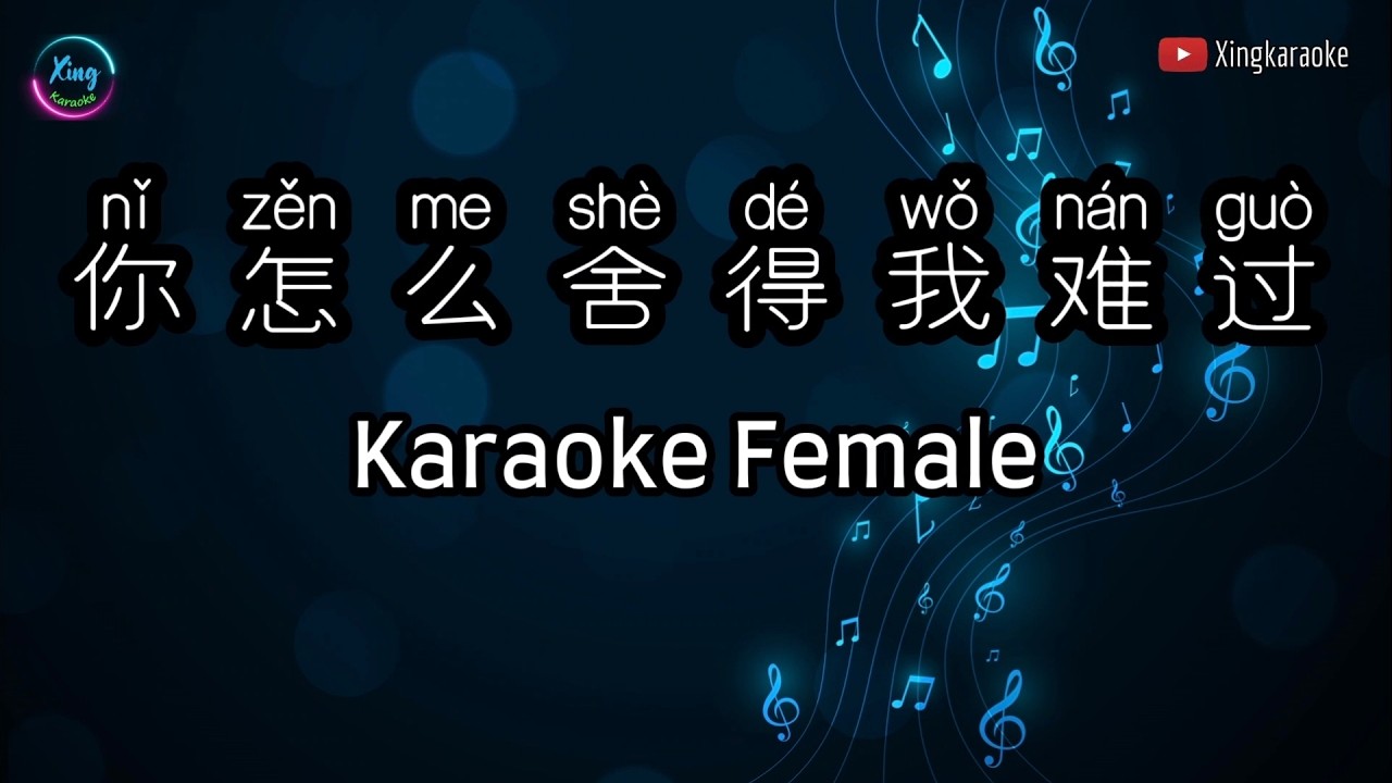 你怎么舍得我难过 Ni Zen Me She De Wo Nan Guo Karaoke Female | Mandarin Karaoke No Vocal