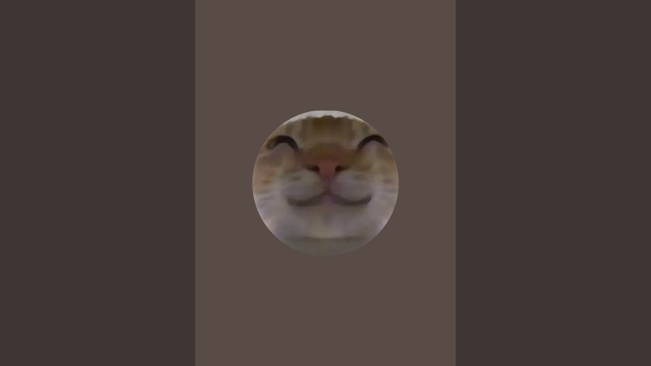 接到一個1500萬的單跑刀齁