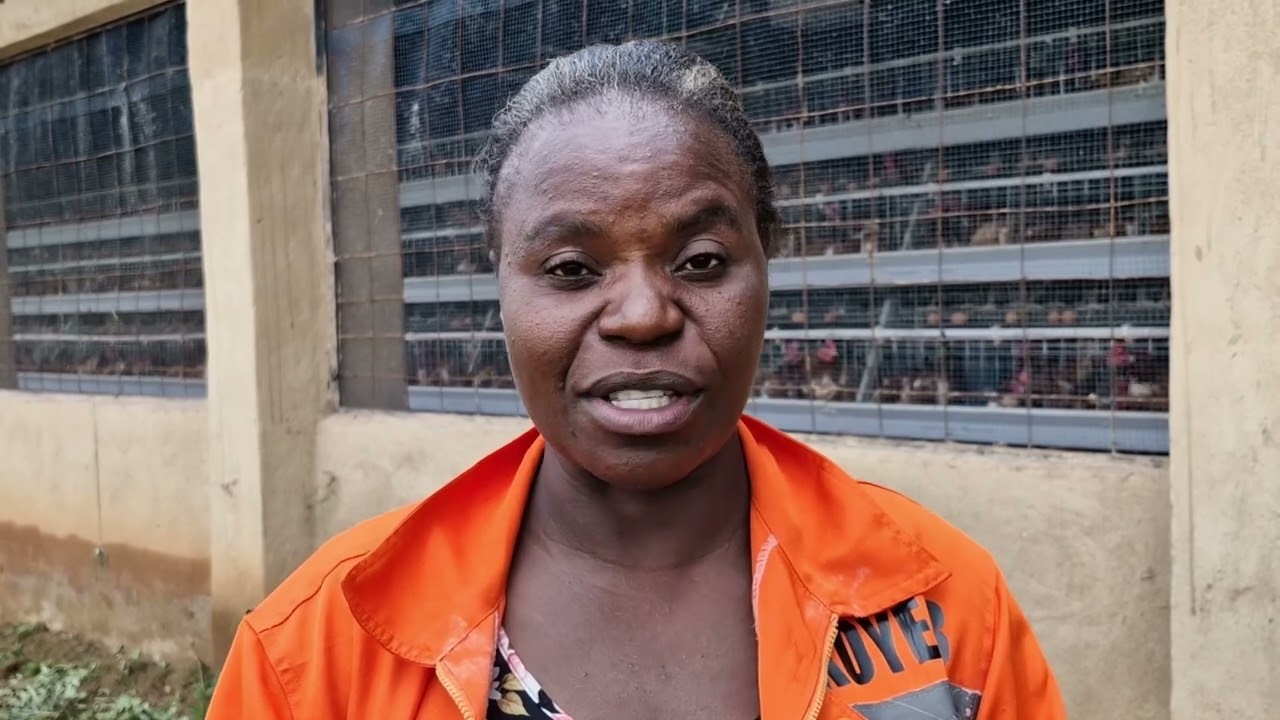 KoyeBless Farms Limited - kasenengwa District, Eastern province