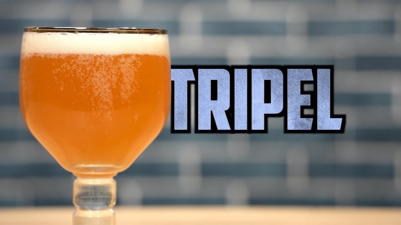 Belgian Tripel | Harvesting Yeast