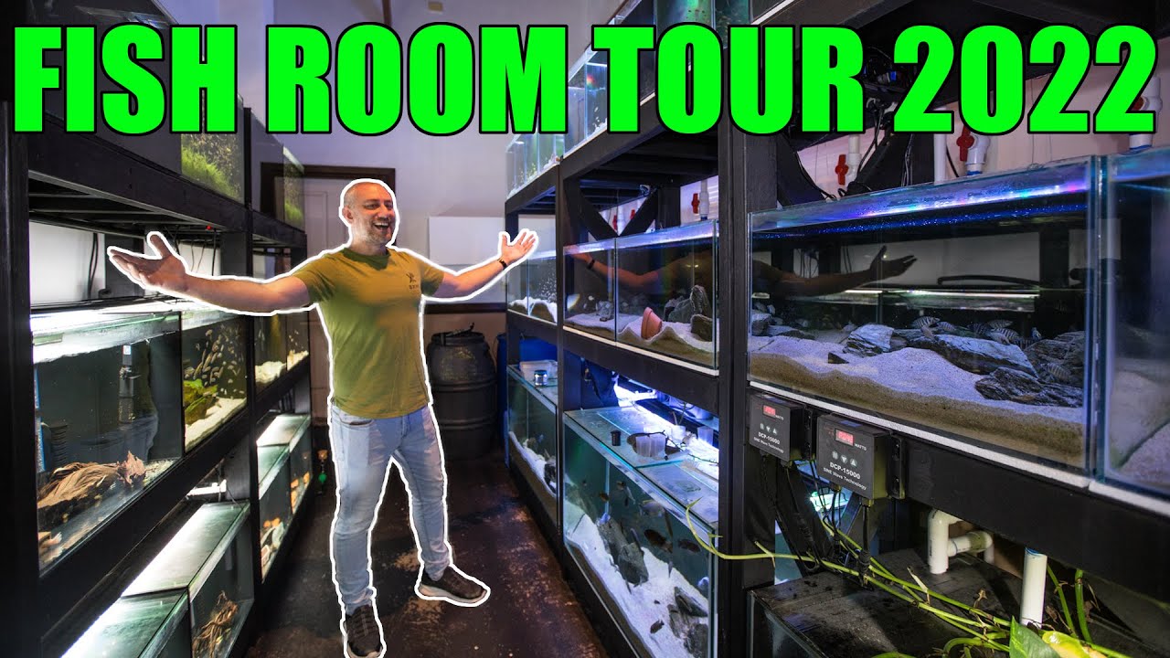 Fish Room Tour 2022 - FULL TOUR!