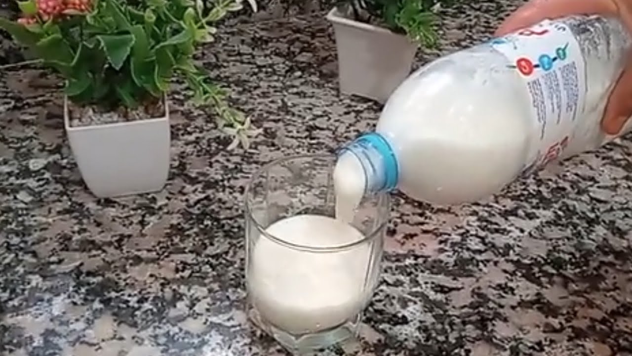 رايب القرعة بكأس حليب نيدو حضري أكتر من لتر رايب عاقد ولذيذ