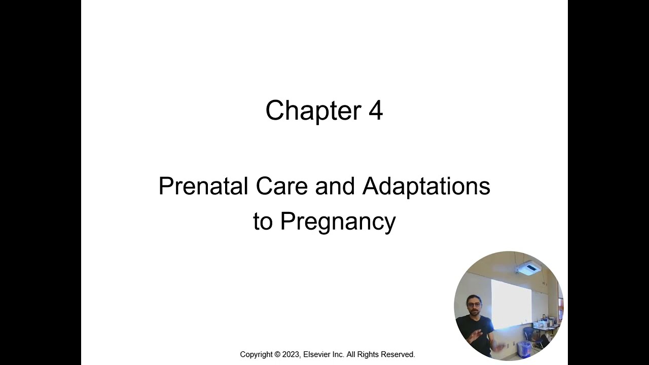 Chapter 4 - Maternal Child (Prenatal Care and Adaptations to Pregnancy)