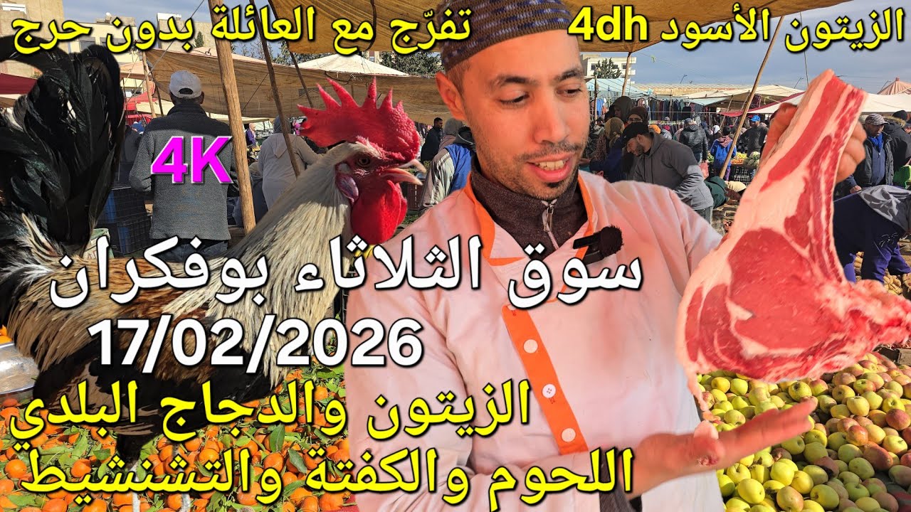 أثمنة الزيتون والدجاج واللحوم والخضر سوق الثلاثاء بوفكران اليوم 17/02/2026
