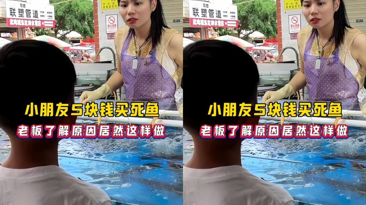 小朋友5块钱买死鱼，老板了解原因居然这样做？