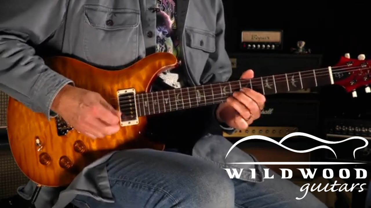 PRS Guitars Wildwood Wood Library DGT - Brazilian Rosewood  •  SN: 230370702