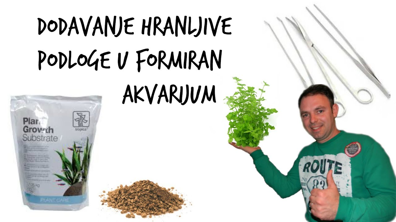 Dodavanje Hranljive Podloge u Formiran Akvarijum