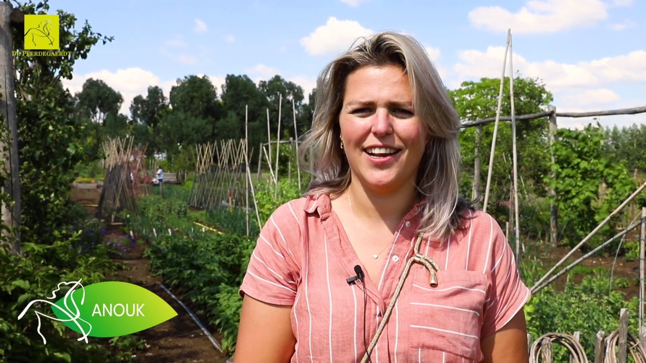 Workshop Moestuinieren | Landgoed de Peerdegaerdt