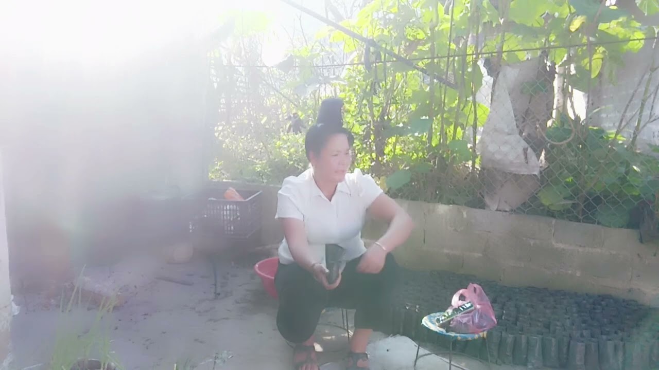 lò pák thương hát qua điện thoại rất là hay mọi người cùng nghe và đăng ký kênh ủng hộ em Hặc với 