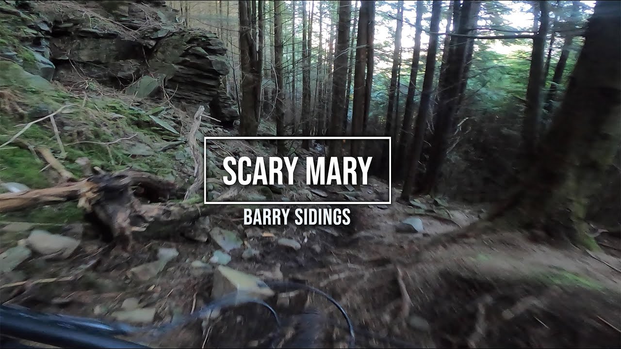 Scary Mary at Barry Sidings