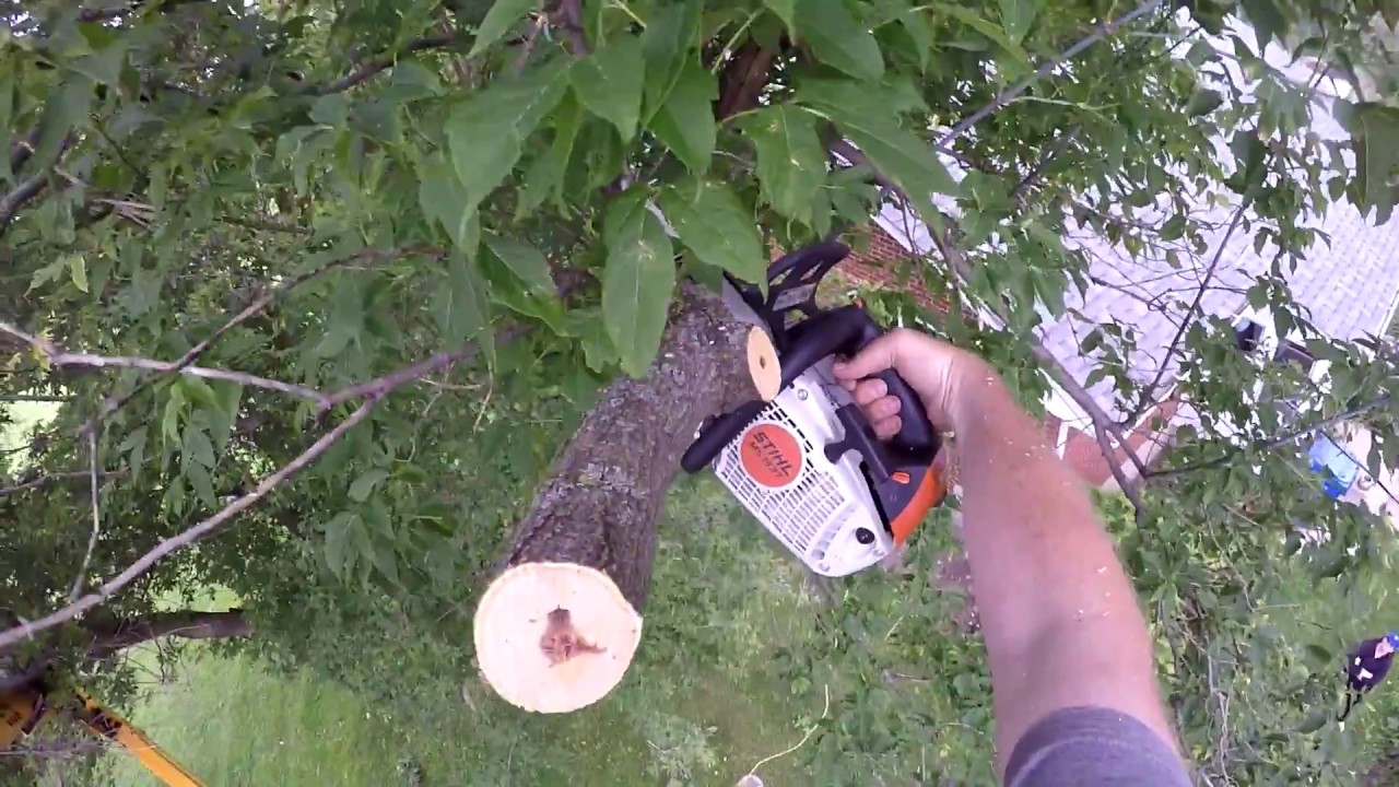 Cutting tree bits in the Boom lift 55' high