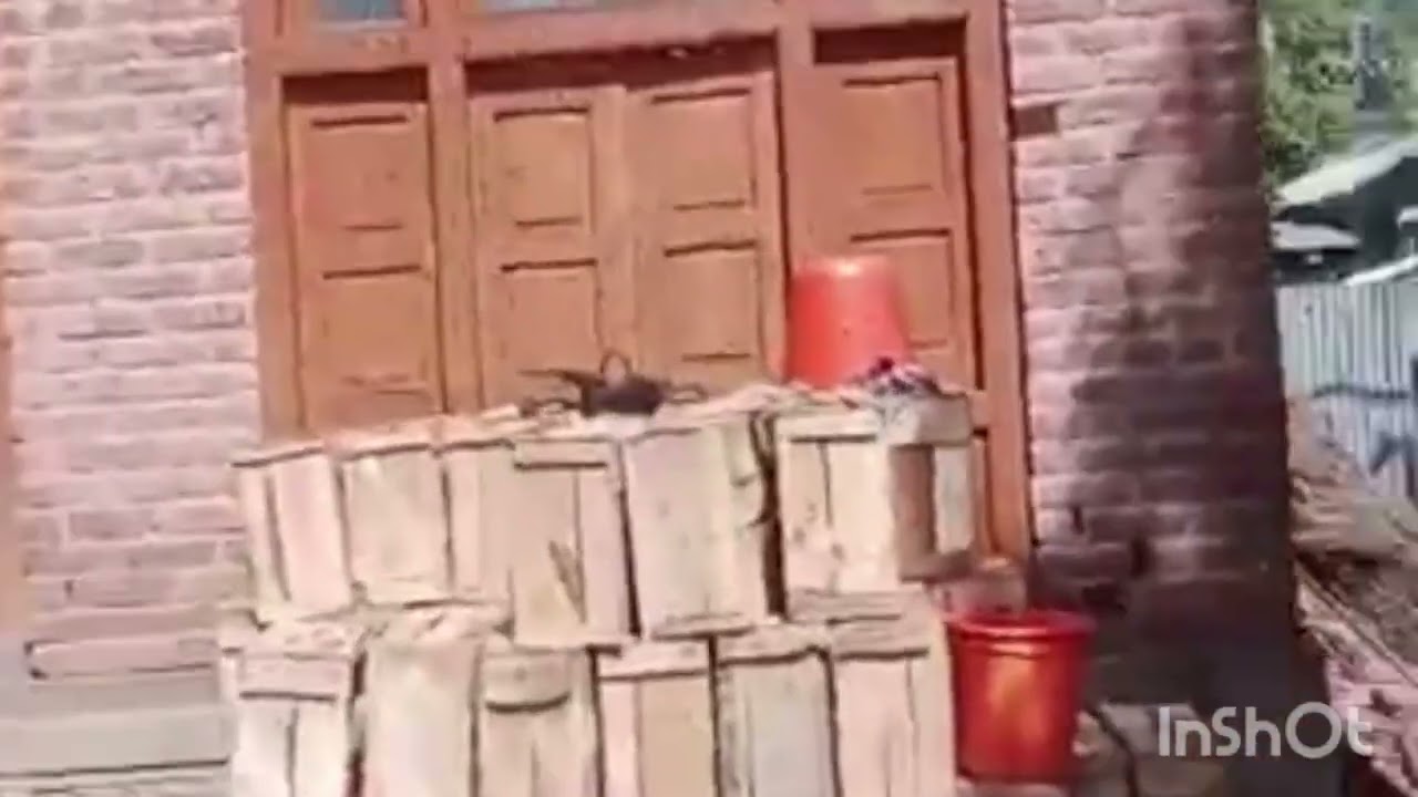 New bee Swarm aya| new bee coleny trapped |Naya madhumakhi ka jund aya hai 